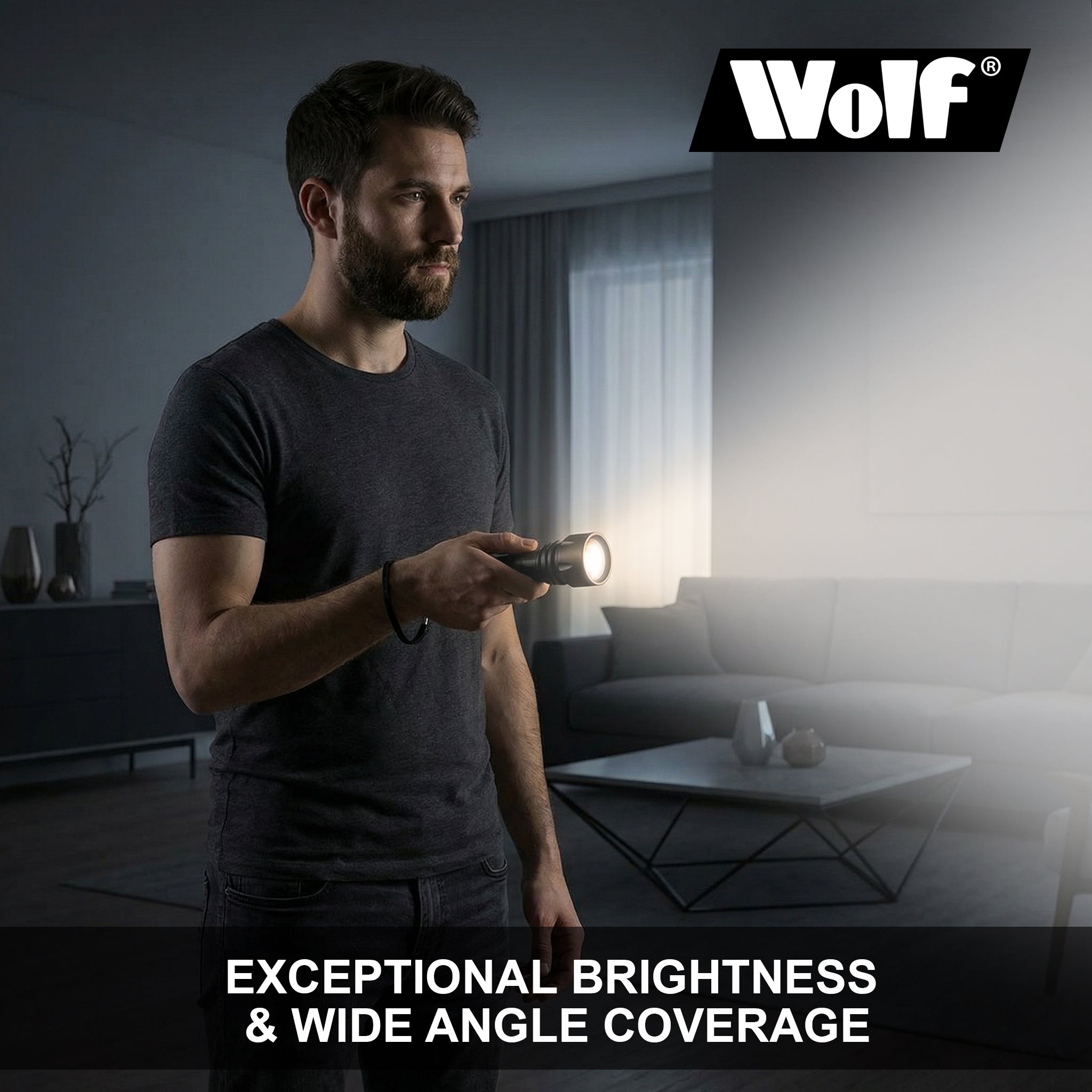Wolf LED Torch 5w 400lm Rechargeable CREE IP44
