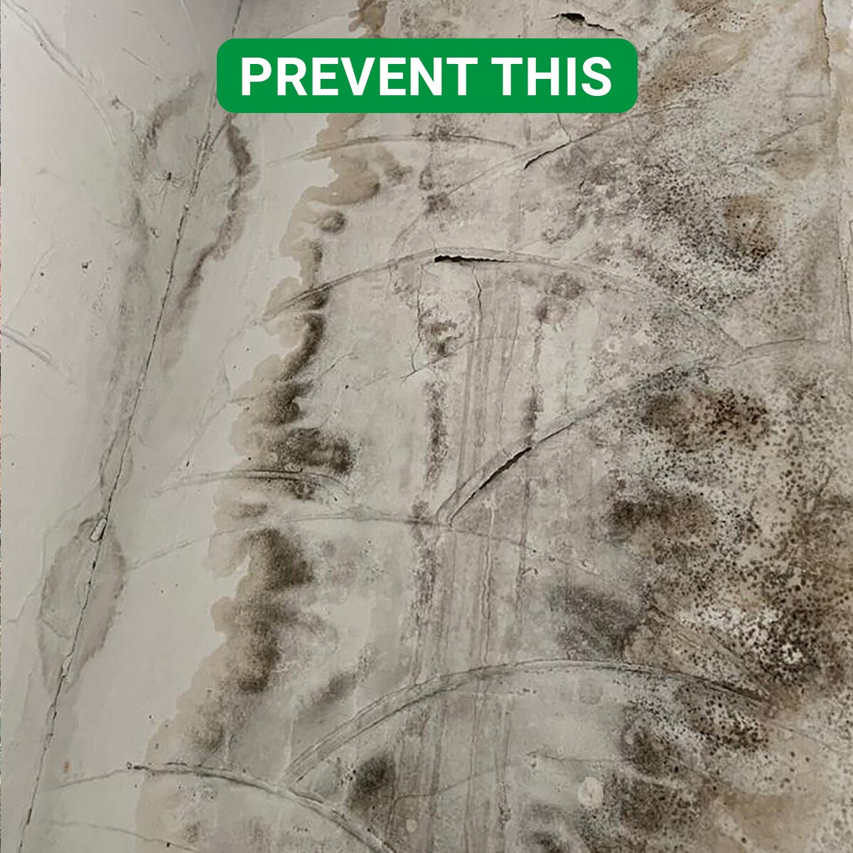 Crikey Mikey Rain Coat Pro Self-Cleaning Sealer 5L - Image 5