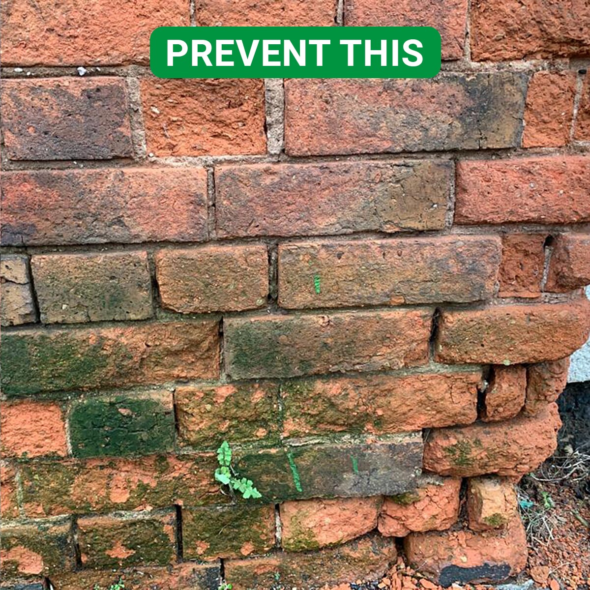 Crikey Mikey Brick Wizard Damp Protection 5L Cleaning Kit