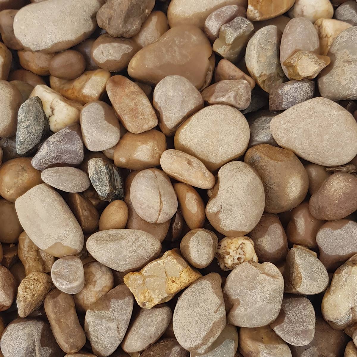 Deco-Pak Dorset Pebbles 20-40mm Decorative Aggregate - Image 2