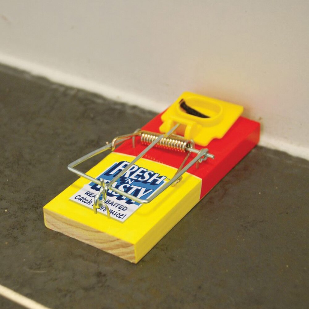The Big Cheese - Fresh Baited Mouse Trap Pest Control - Image 5
