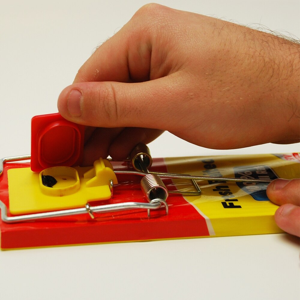 The Big Cheese - Fresh Baited Rat Trap Pest Control - Image 6