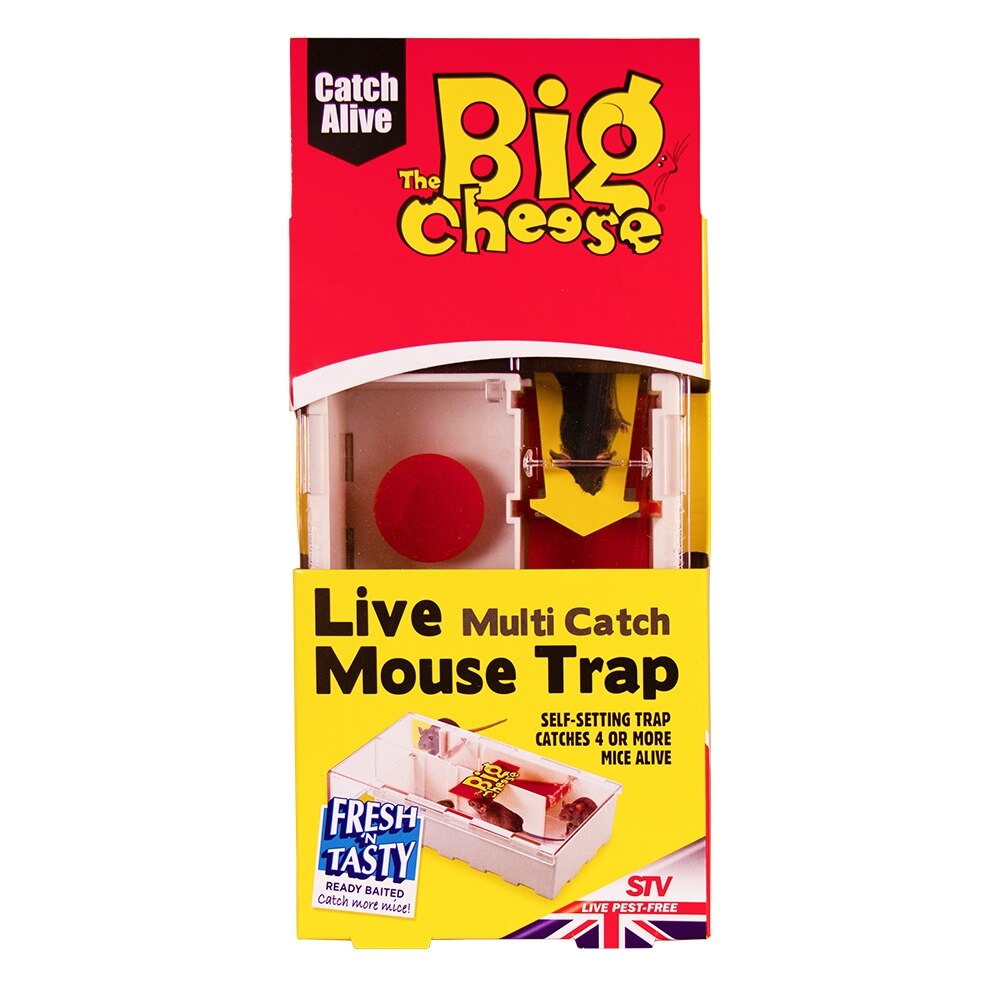 The Big Cheese - Live Multi-Catch Mouse Trap - Image 6