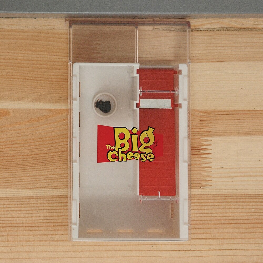 The Big Cheese - Live Multi-Catch Mouse Trap - Image 9