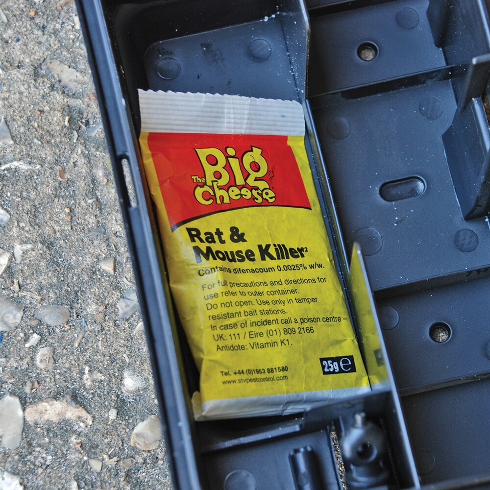 The Big Cheese - Rat & Mouse Killer Grain Bait Sachets 6 x 25g - Image 7
