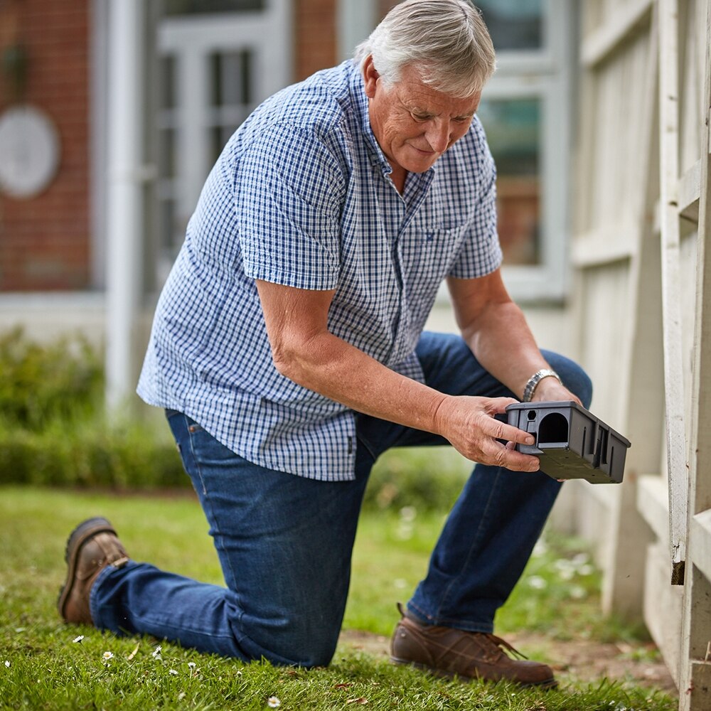 The Big Cheese - Rat & Mouse Bait Station - Image 10