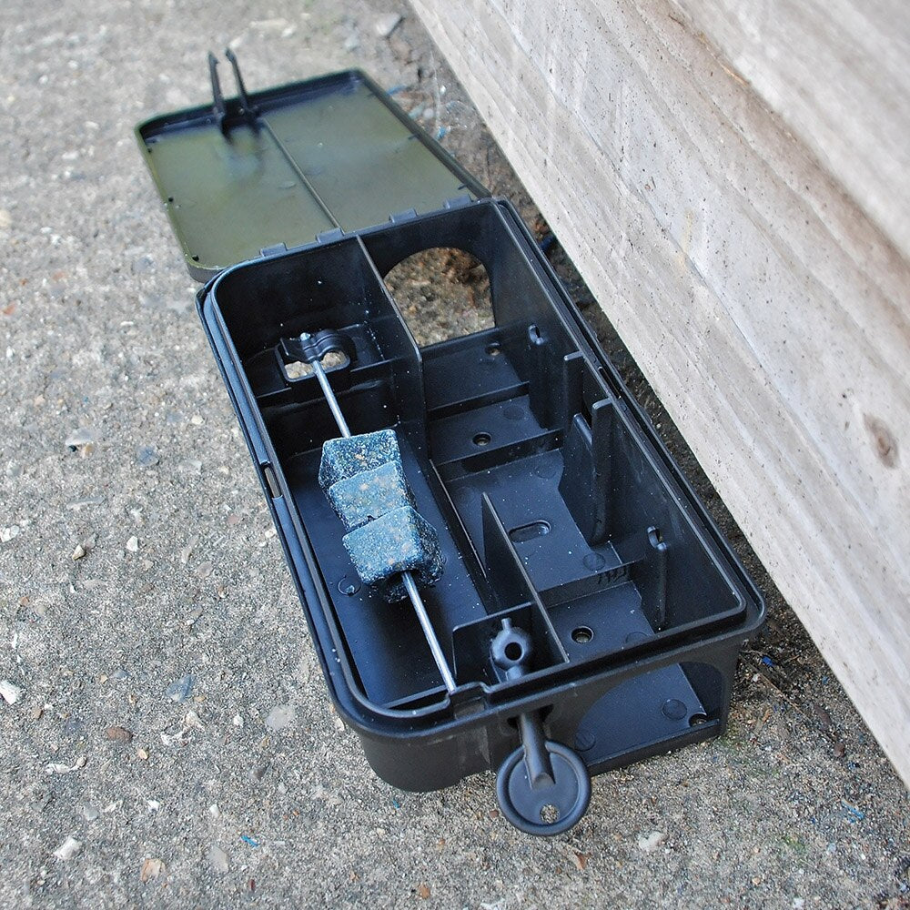The Big Cheese - All Weather Block Bait 30 x 10g - Image 7