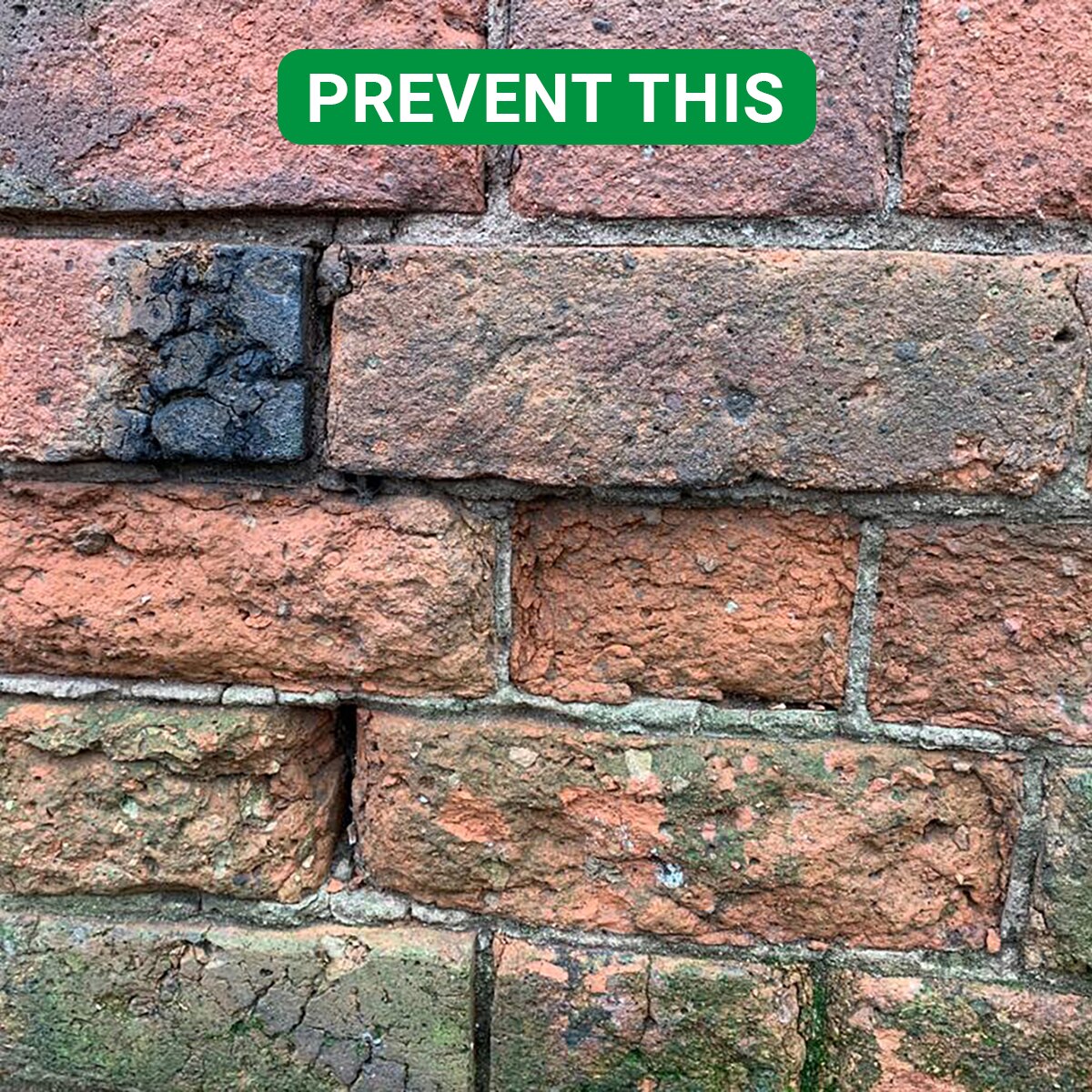 Crikey Mikey Brick Wizard Damp Protection 10L Cleaning Kit