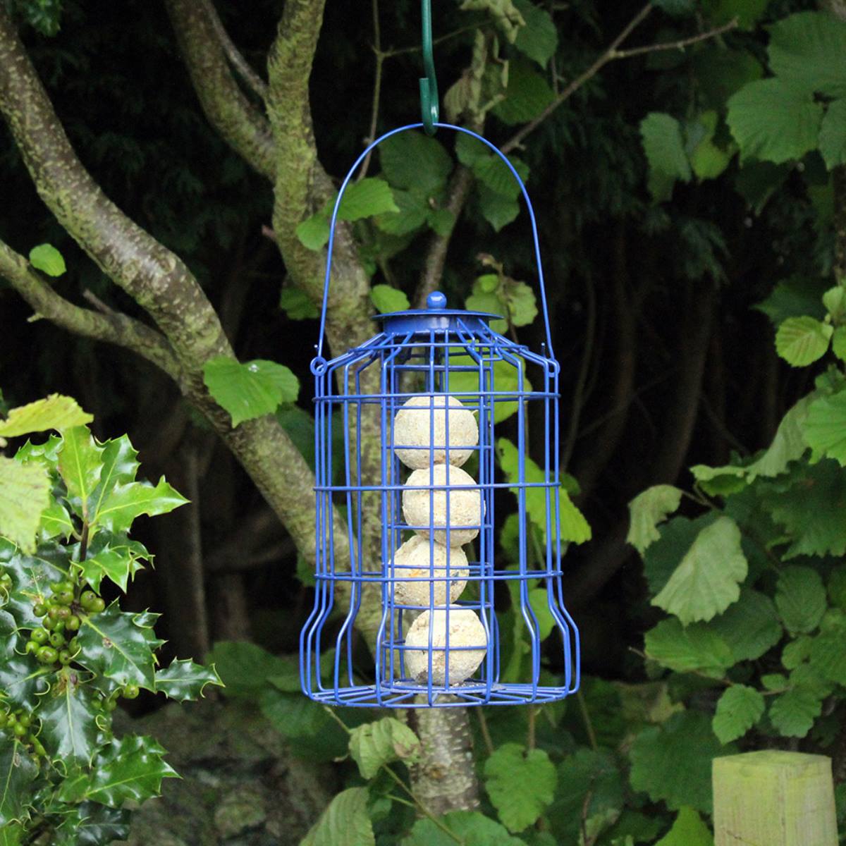 Nature's Market Wild Bird Fat Ball Feeder with Squirrel Guard - Image 2
