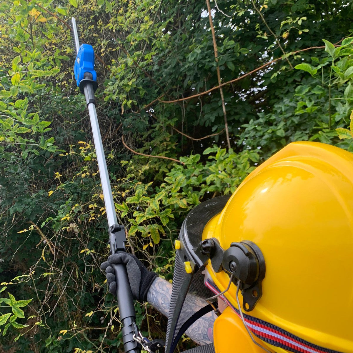 Bloggs 16" 41cm Electric Pole Hedge Trimmer 500W 230V