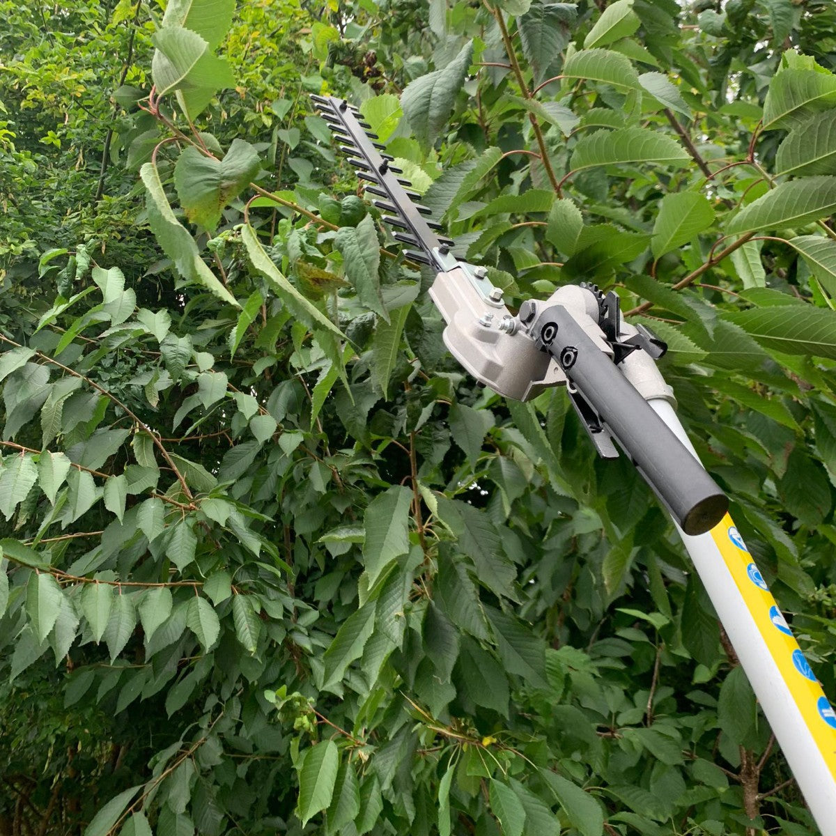 Bloggs 4-in-1 Petrol Garden Multi-Tool, Brushcutter, Grass Trimmer, Hedge Trimmer & Pruner