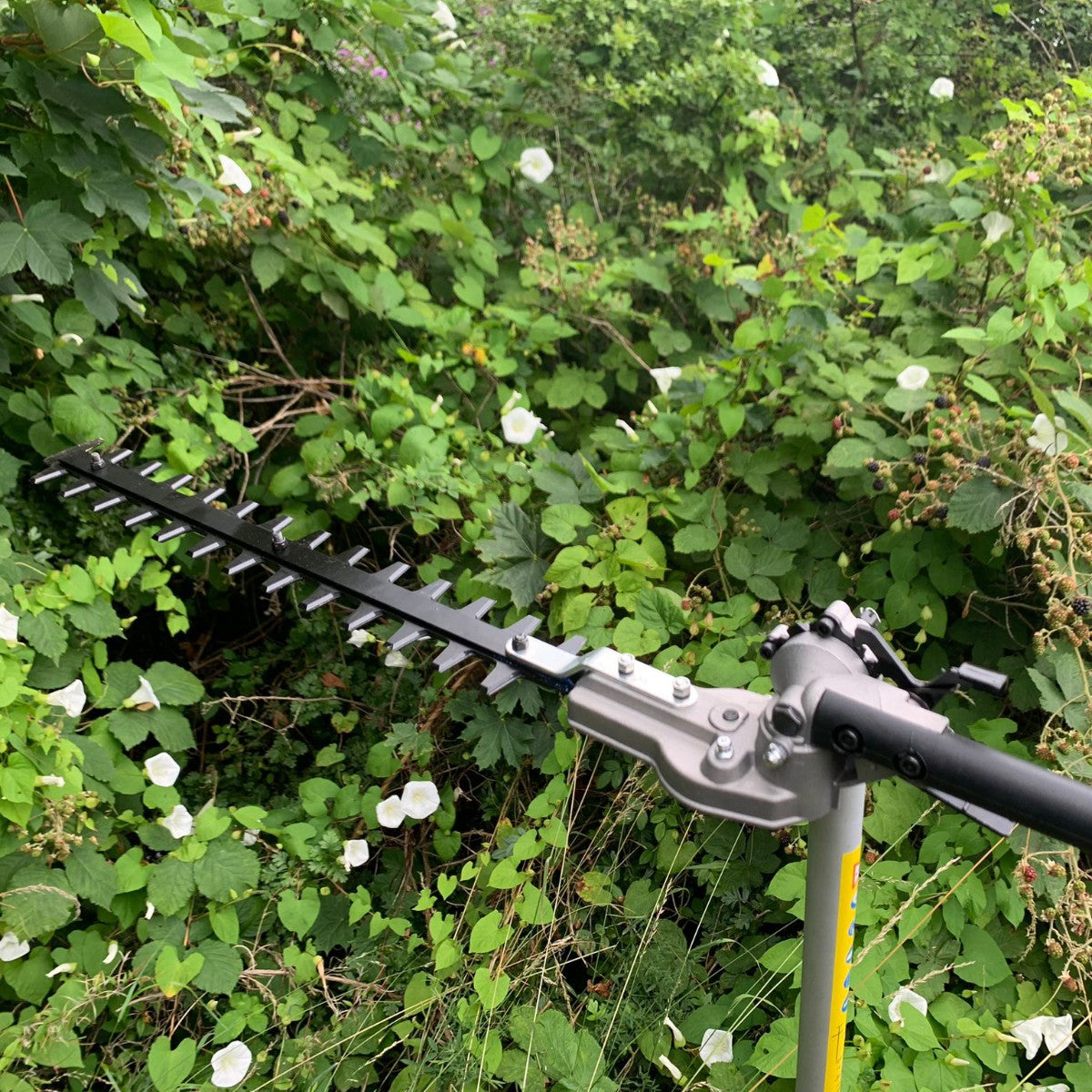 Bloggs 4-in-1 Petrol Garden Multi-Tool, Brushcutter, Grass Trimmer, Hedge Trimmer & Pruner