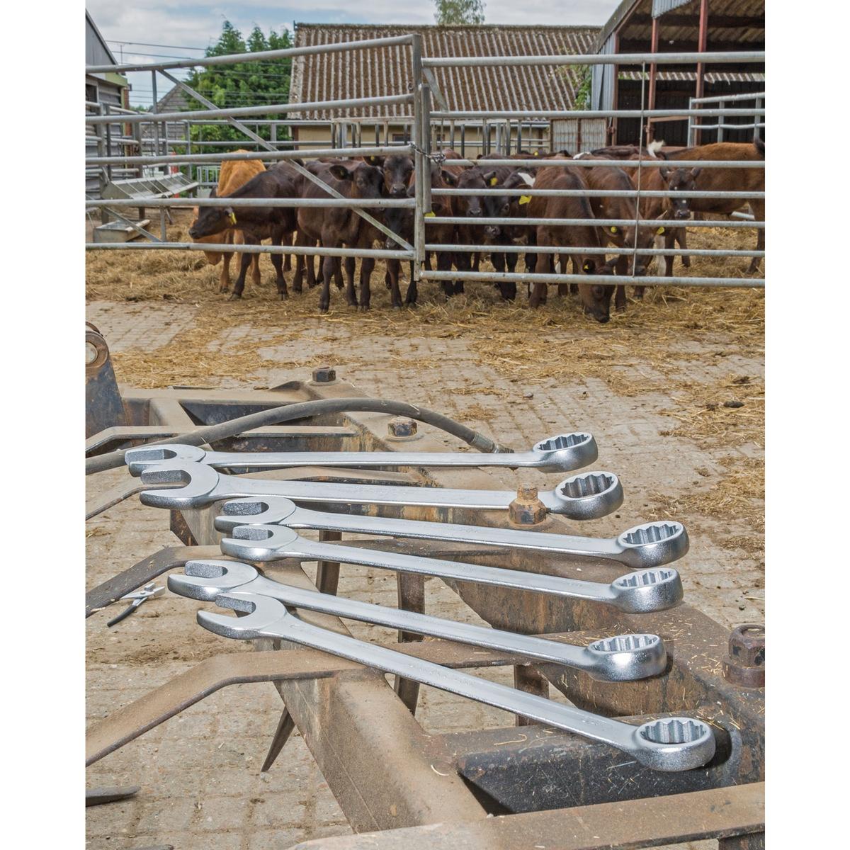 Draper HI-TORQ Metric Combination Spanner Set (6 Piece) - Image 2