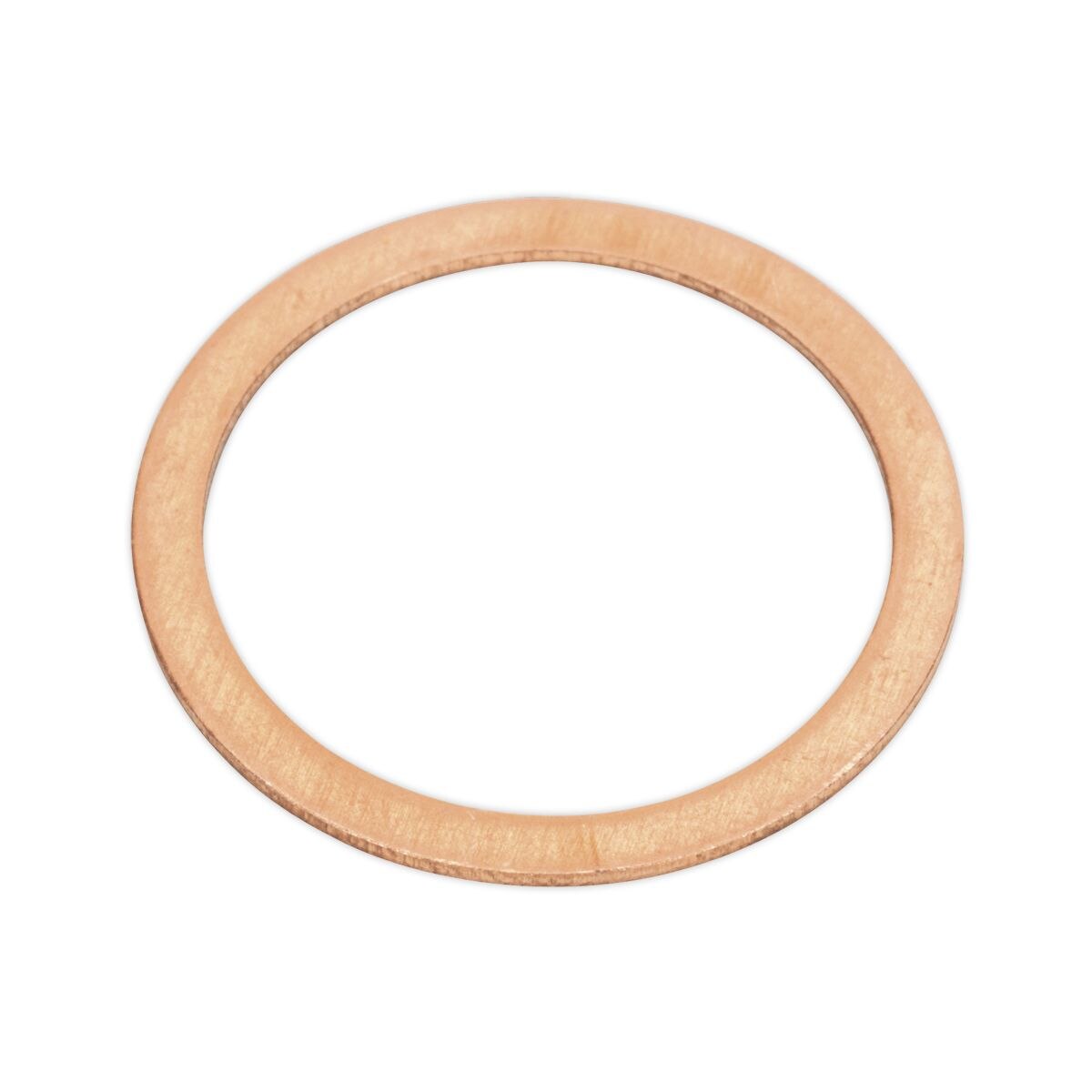 Sealey Copper Sealing Washer Assortment 250pc - Image 3