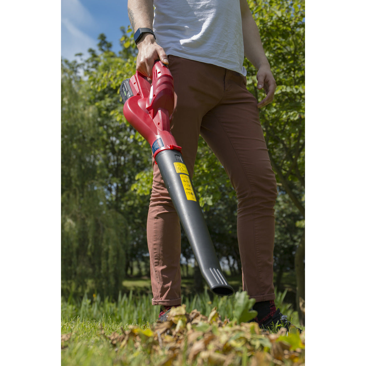 Sealey SV20 Series Cordless Leaf Blower with 20V 2Ah Battery & Charger CB20VCOMBO2
