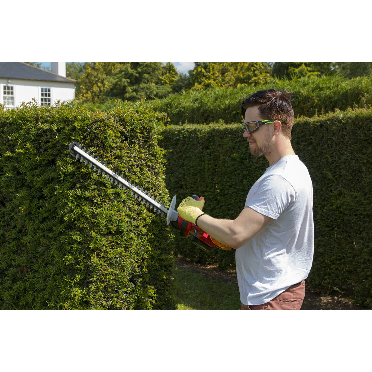 Sealey SV20 Series Cordless Hedge Trimmer 20V 4Ah with Battery & Charger CHT20VCOMBO4