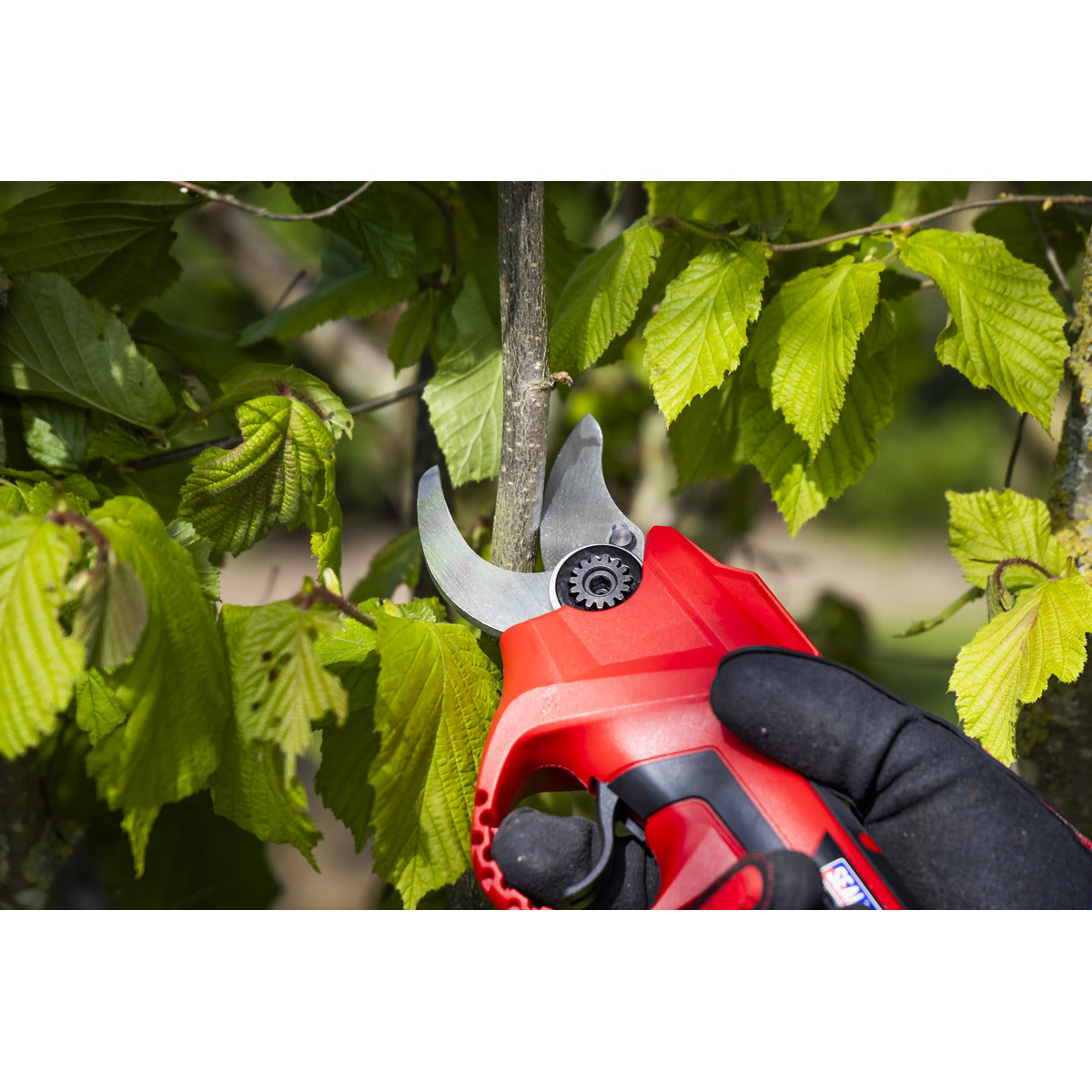 Sealey SV20 Series Brushless Cordless Pruning Shears Kit 20V 2Ah - 2 Batteries CP20VPSKIT