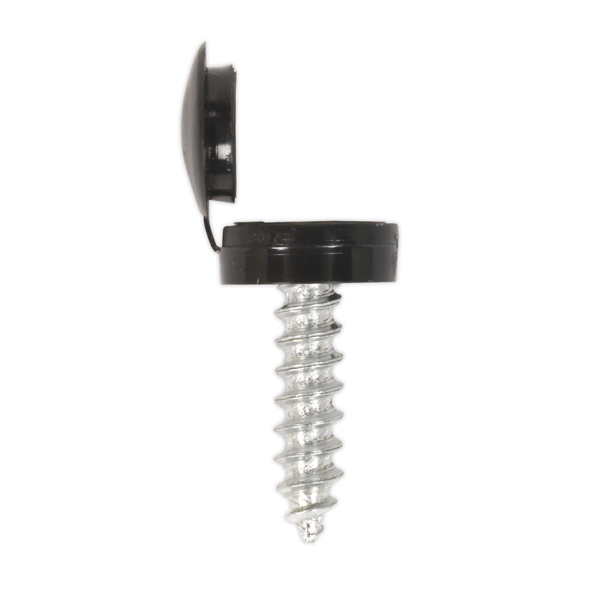 Sealey Clip Strip Deal - Mixed Numberplate Screws NPSSET