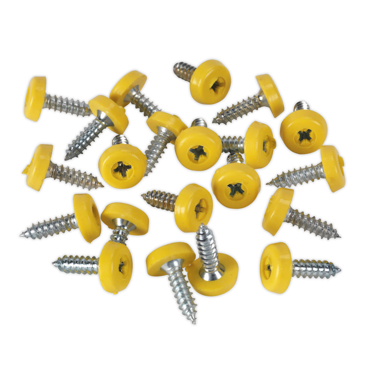 Sealey Clip Strip Deal - Mixed Numberplate Screws NPSSET