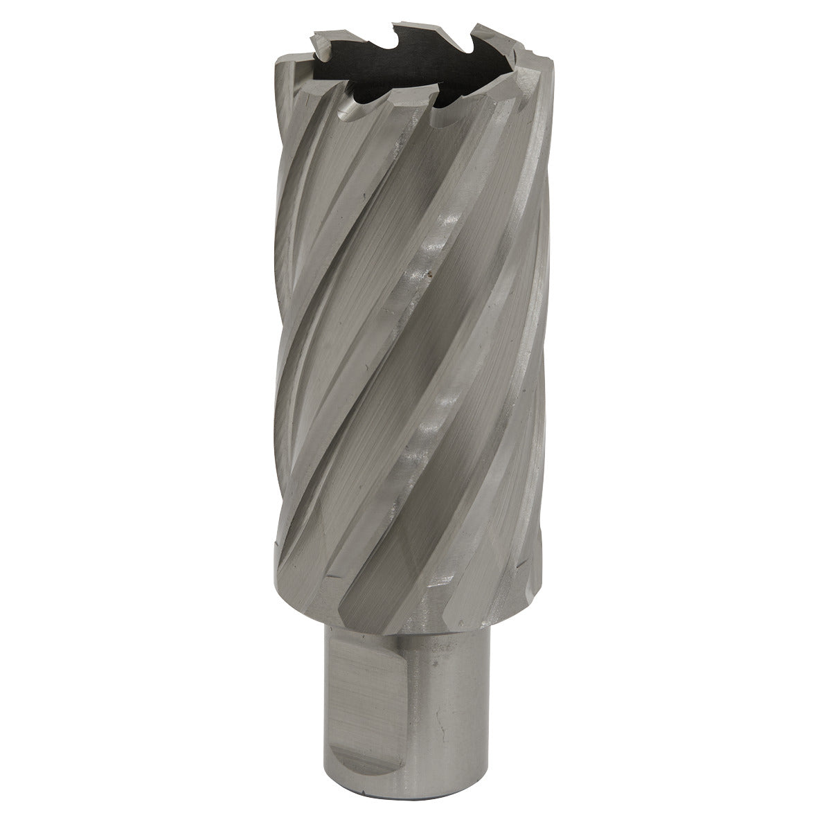 Worksafe 31mm HSS Mag Drill Bit Cut Depth 50mm RBHSS31L