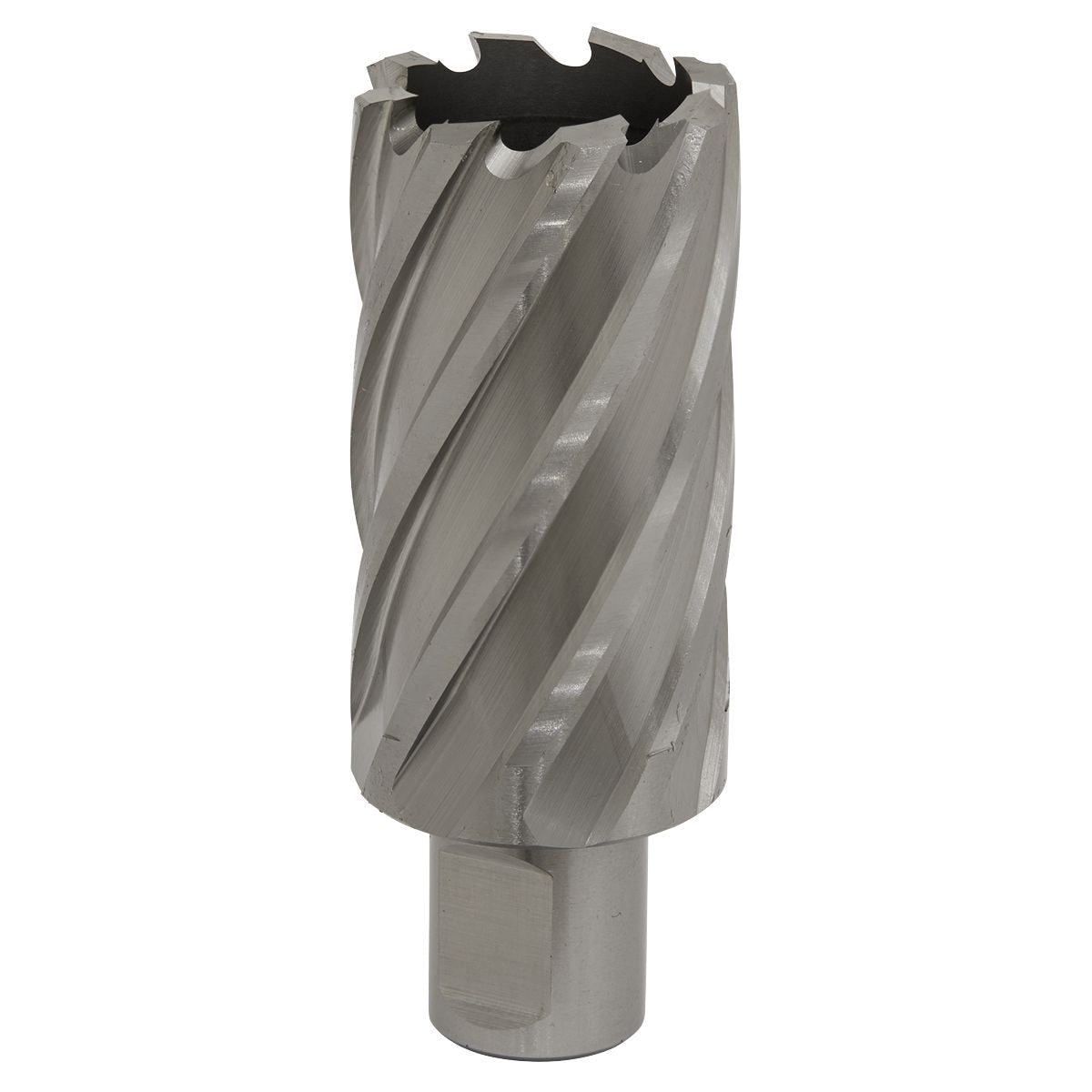 Sealey Worksafe 33mm HSS Mag Drill Bit Cut Depth 50mm - Image 1