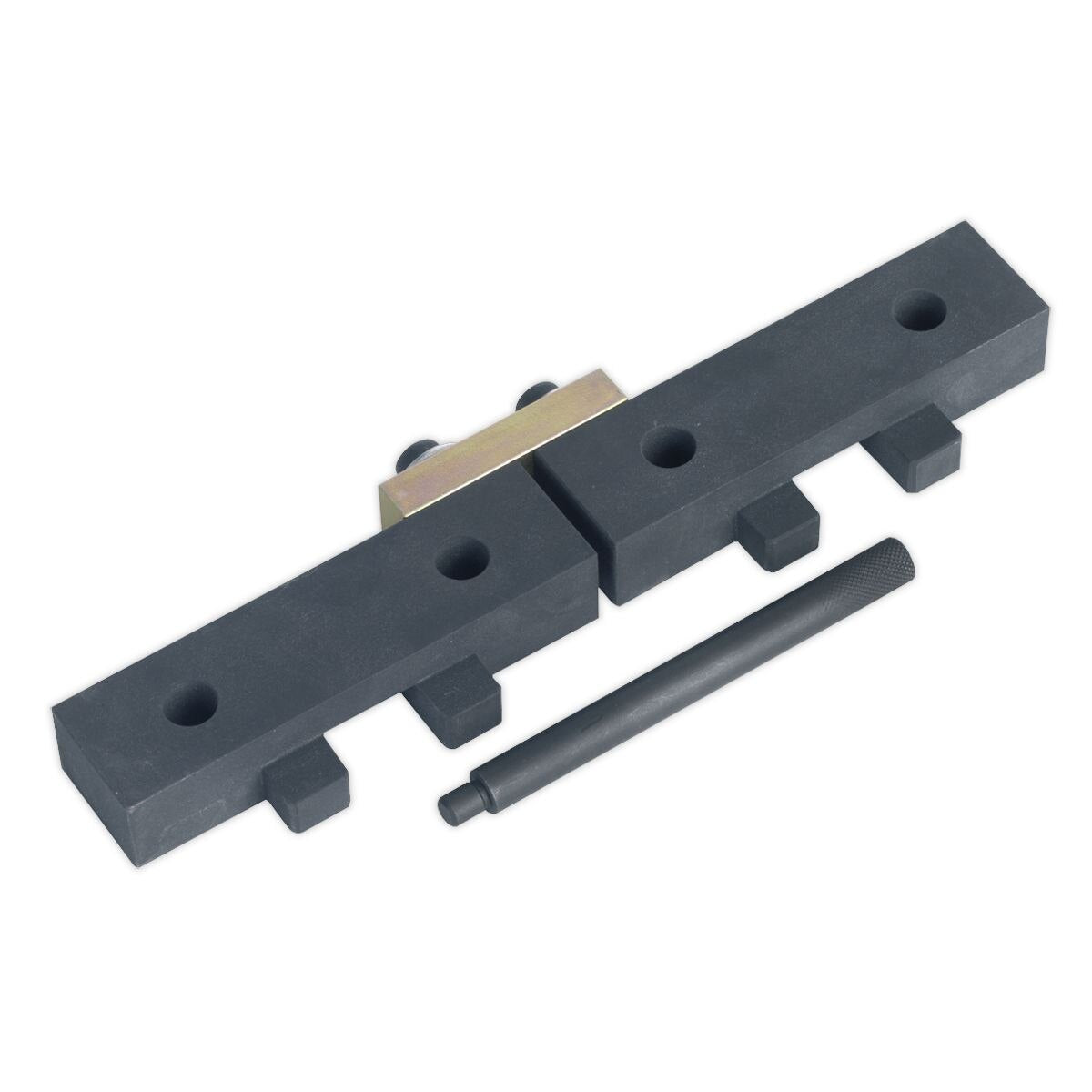 Sealey Petrol Engine Timing Tool Kit - for BMW M42/M50/M52/M52TU/M54/M56 - Chain Drive - Image 2