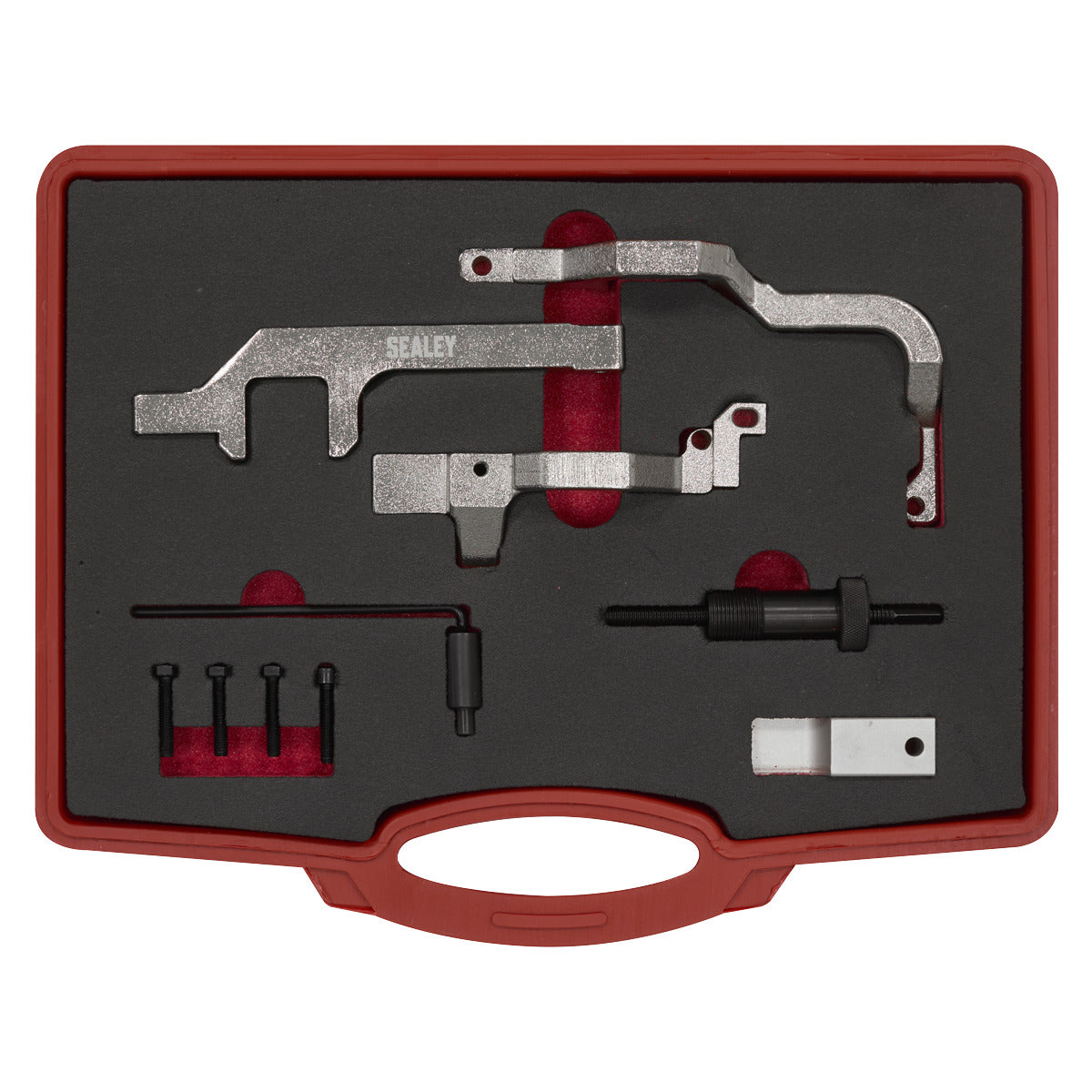 Sealey Petrol Engine Timing Tool Kit - for BMW Mini, Citroen, Peugeot - Chain Drive VSE6131