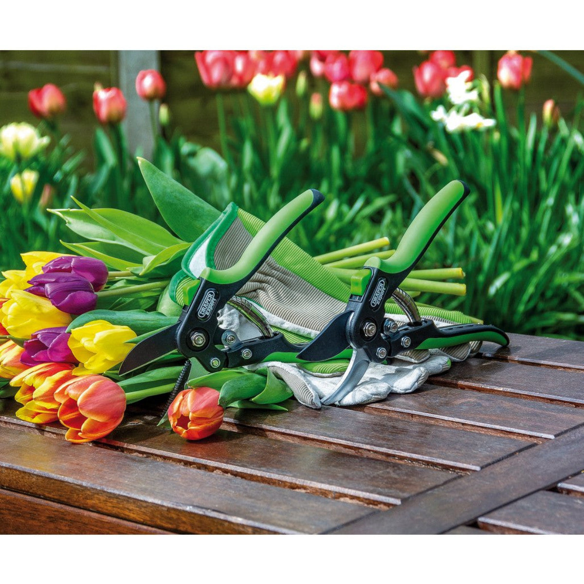 Draper Expert Anvil Pattern Secateurs, 200mm 94983