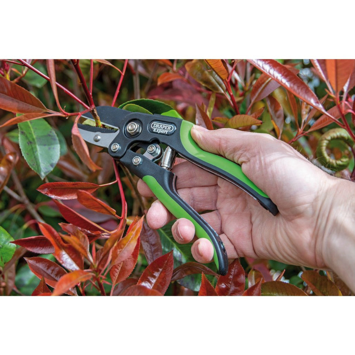 Draper Expert Anvil Pattern Secateurs, 200mm 94983