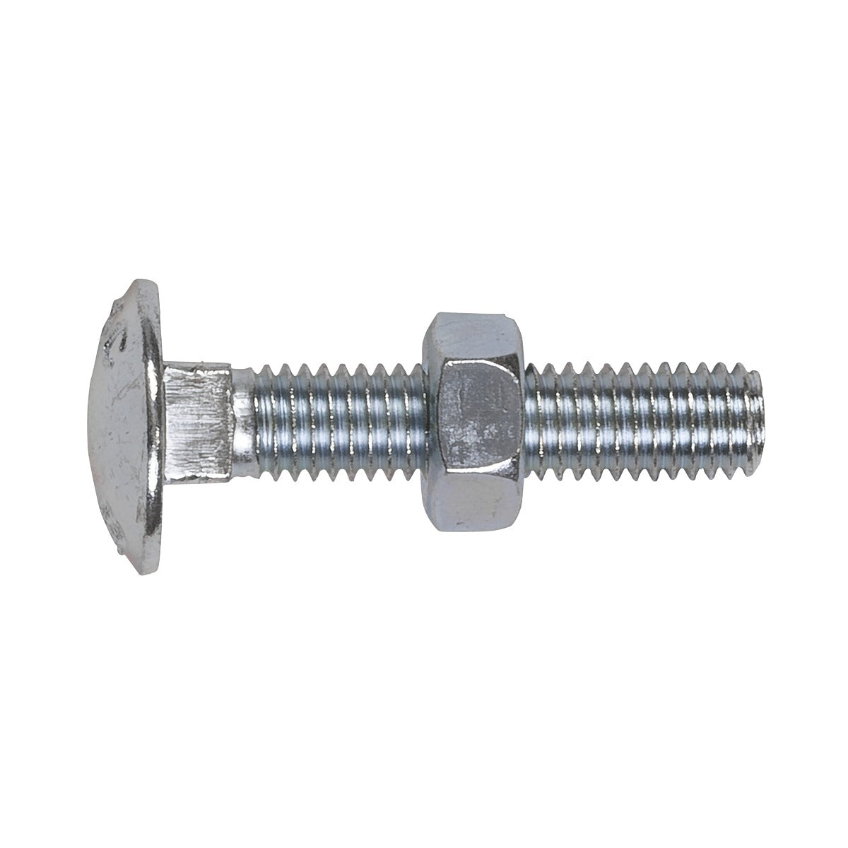 Sealey Zinc Plated Coach Bolt & Nut M8 x 40mm, DIN 603 - Pack of 50 CBN840