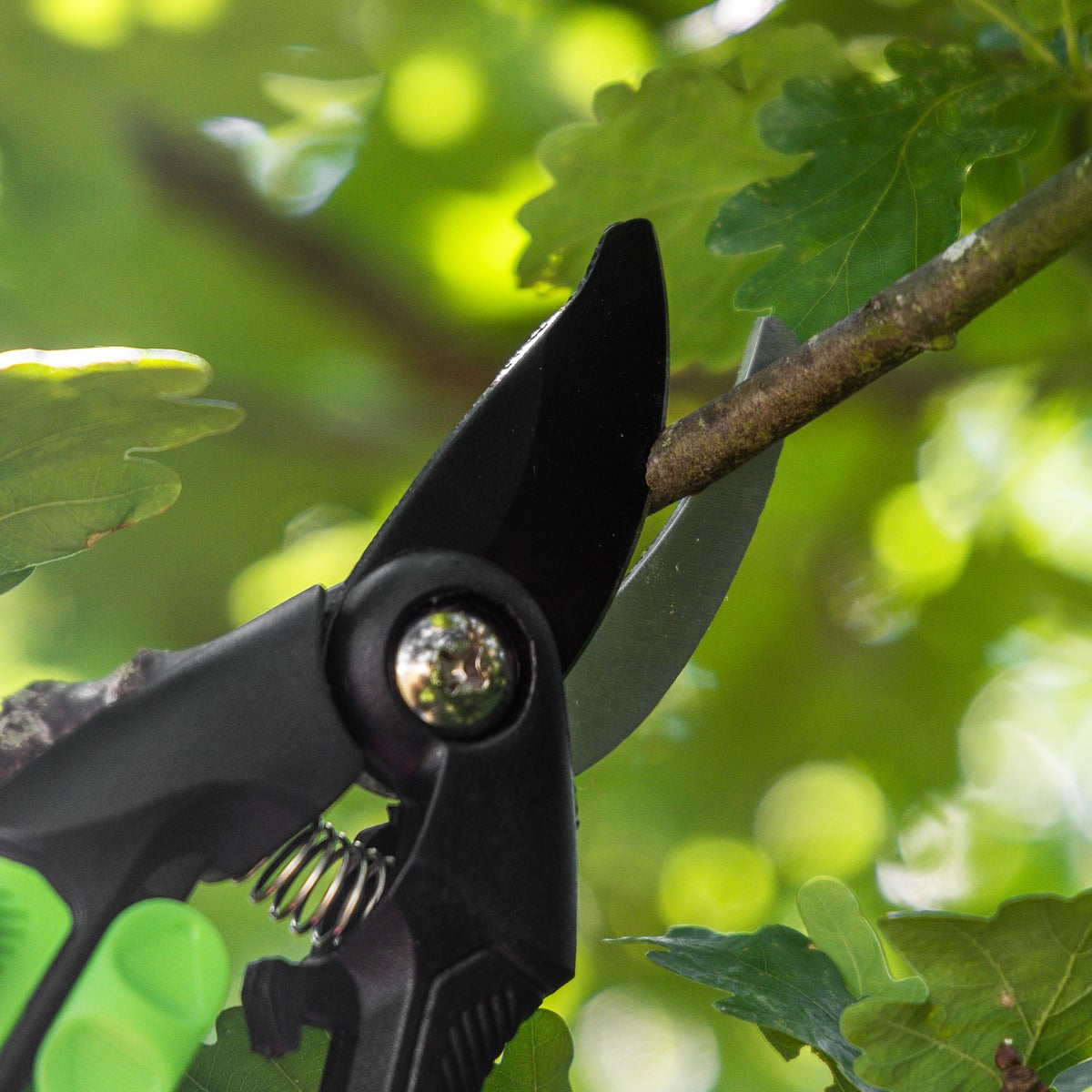 Sealey Bypass Secateurs with Soft Grip Handle, Safety Lock & Carbon Steel Blade, 208mm GTSG001