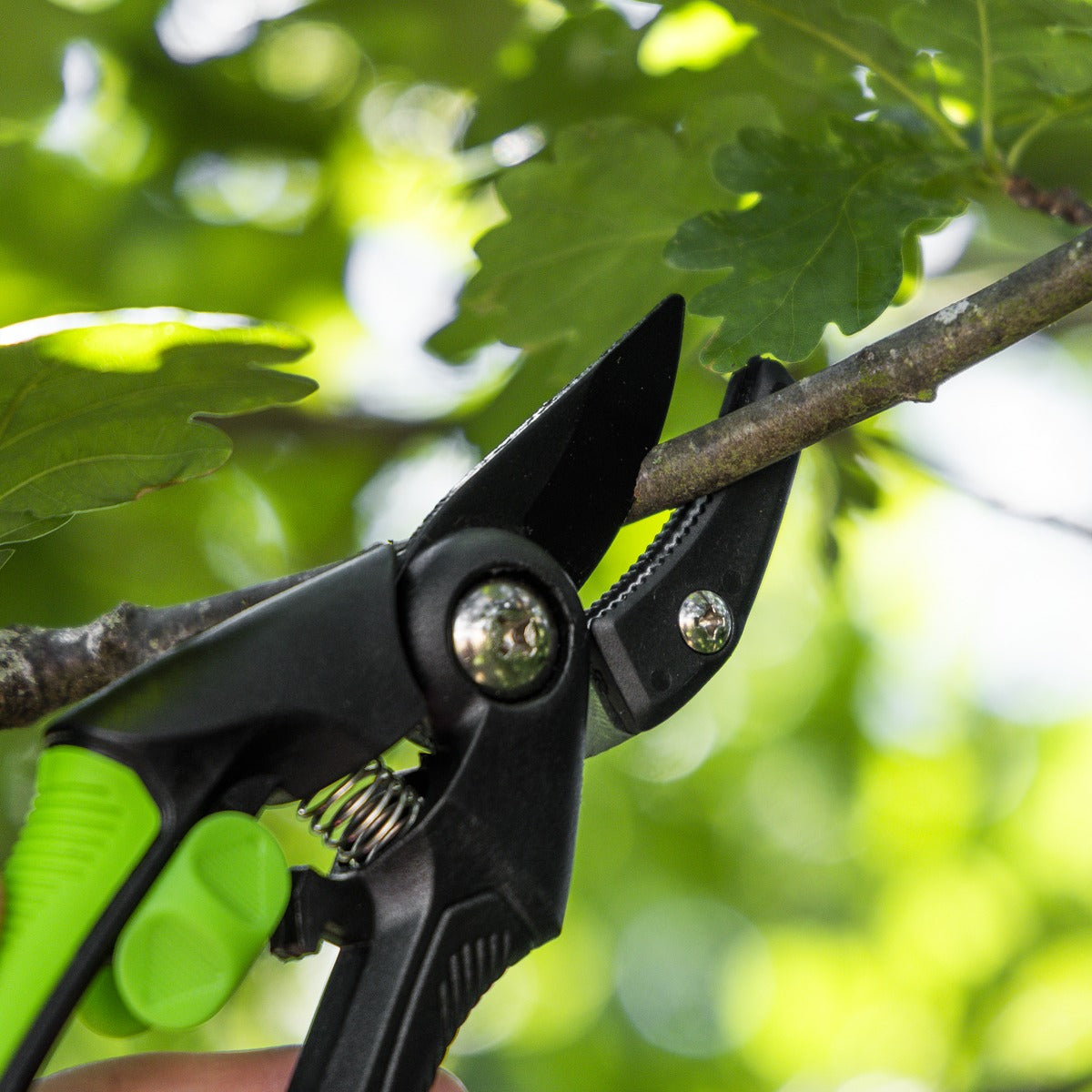 Sealey Anvil Secateurs with Soft Grip Handle, Safety Lock & Carbon Steel Blade, 208mm GTSG002