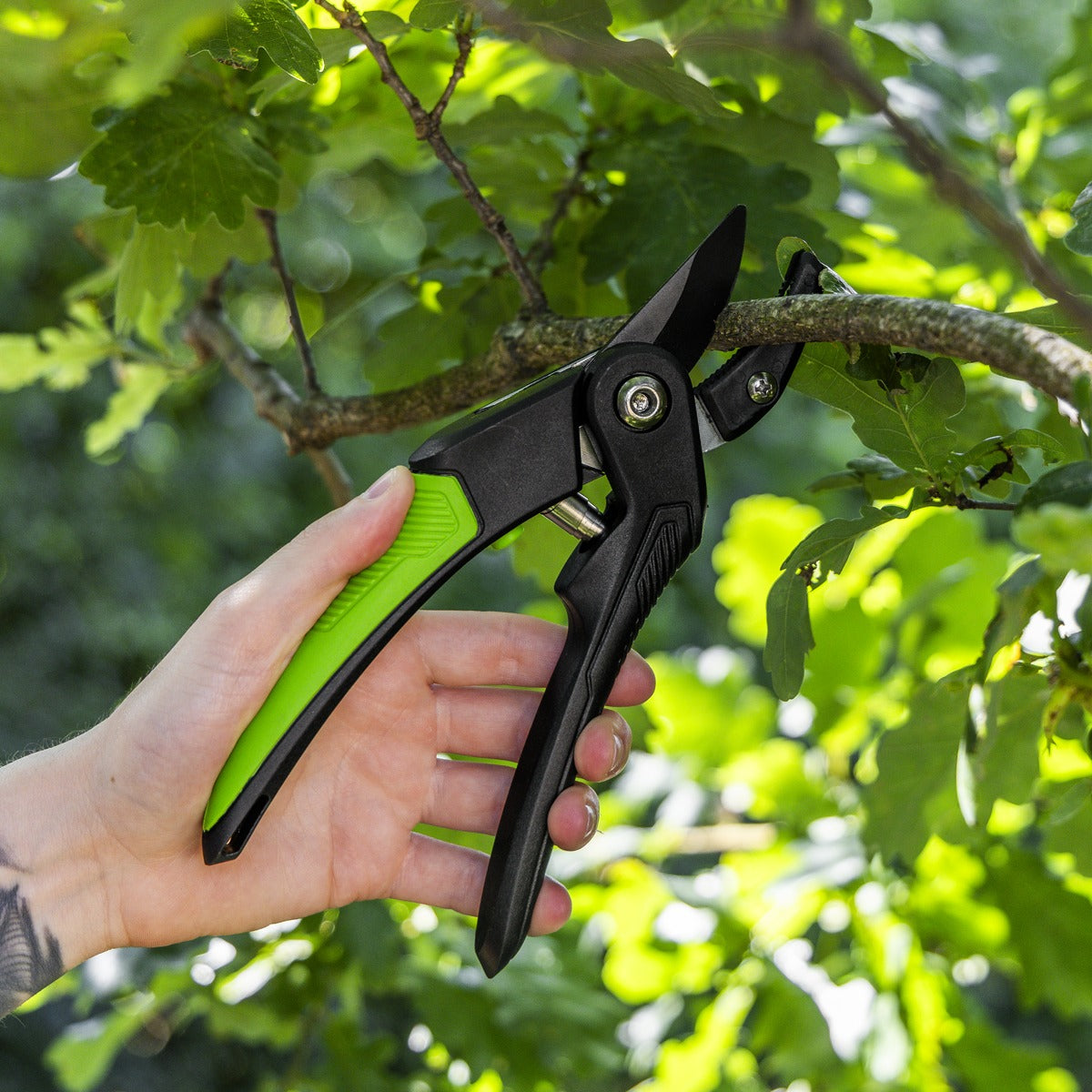 Sealey Anvil Secateurs with Soft Grip Handle, 3-Stage Safety Lock & Carbon Steel Blade, 220mm GTSG005