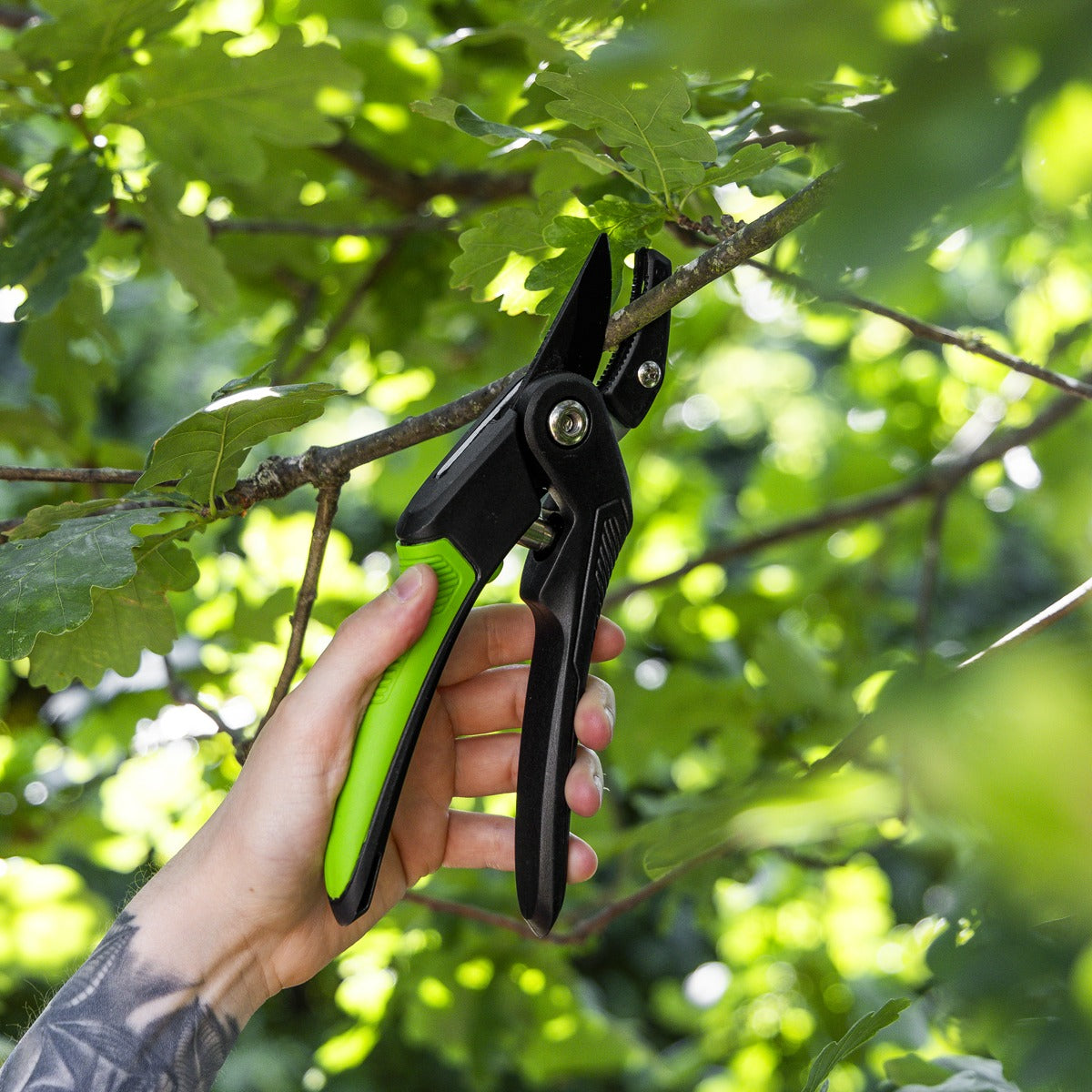 Sealey Anvil Secateurs with Soft Grip Handle, 3-Stage Safety Lock & Carbon Steel Blade, 220mm GTSG005