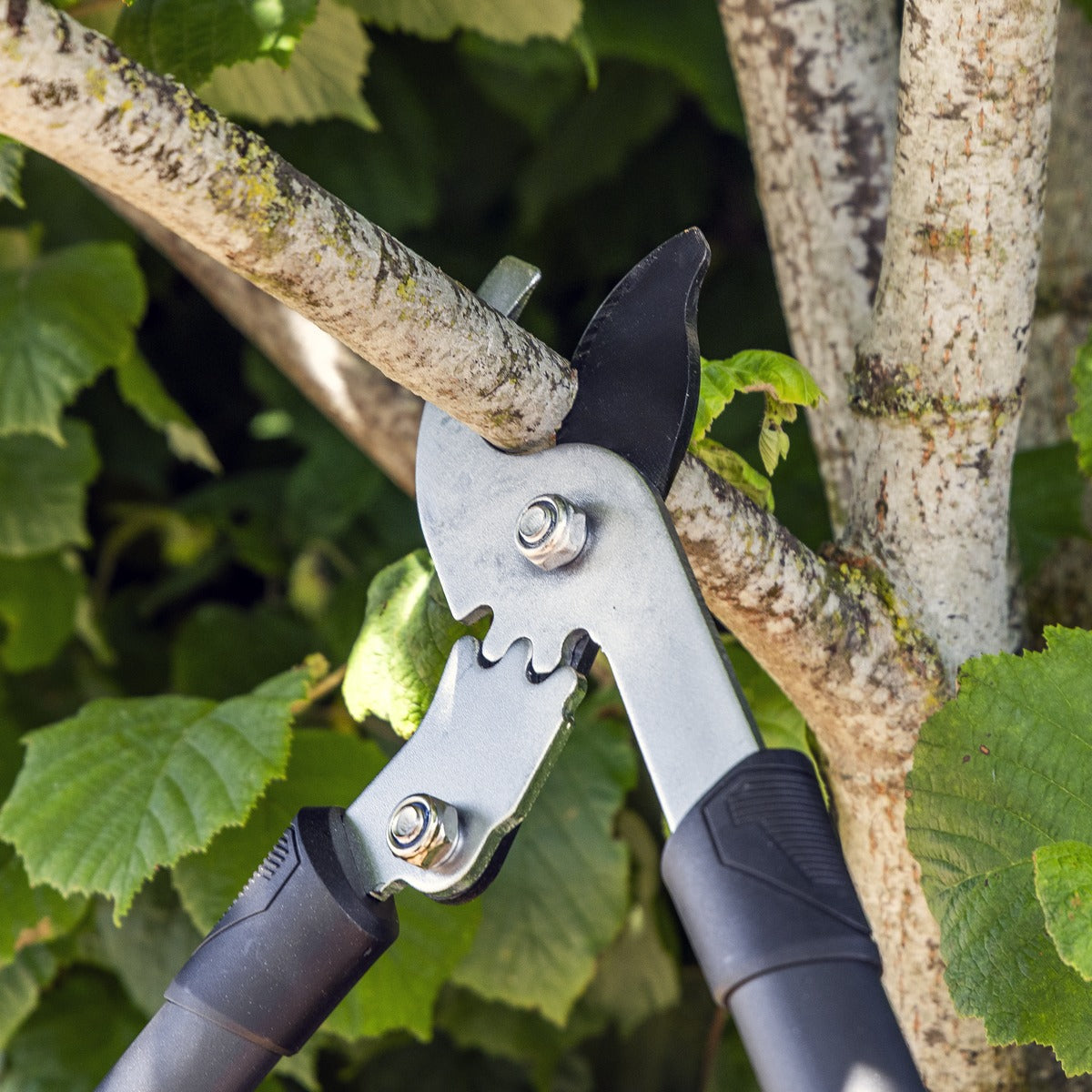 Sealey Bypass Lopping Shears with Soft Grip Handle, Geared & Carbon Steel Blade GTSG014