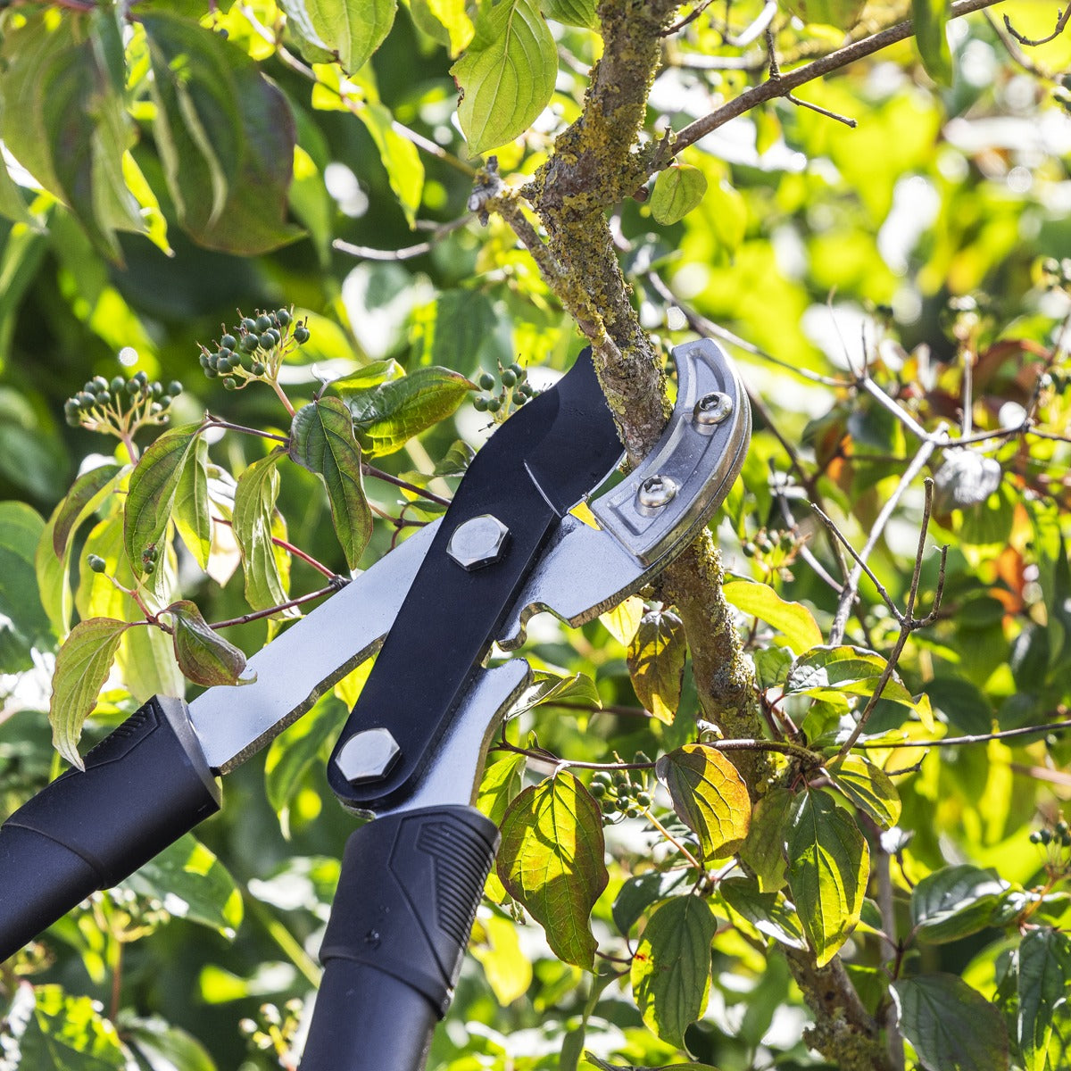 Sealey Anvil Lopping Shears with Soft Grip Handle, Geared & Carbon Steel Blade GTSG015