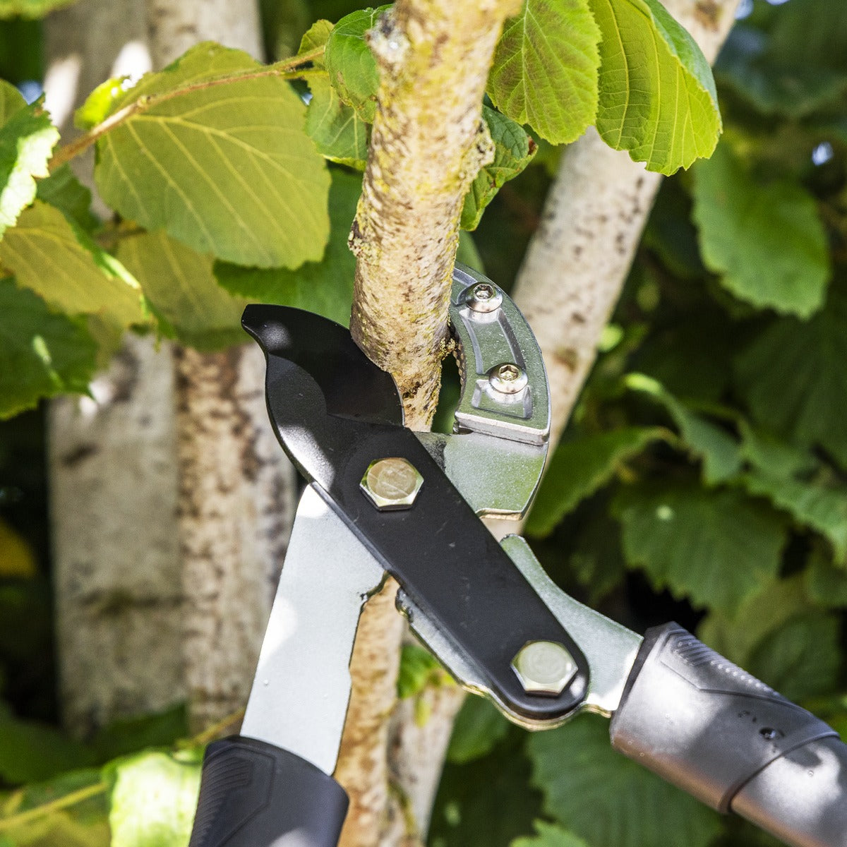 Sealey Anvil Lopping Shears with Soft Grip Handle, Geared & Carbon Steel Blade GTSG015