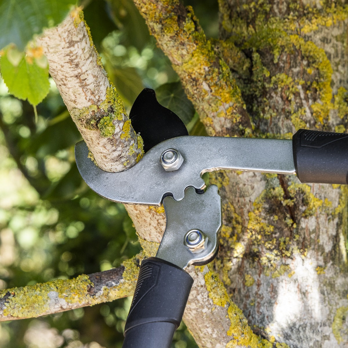 Sealey Telescopic Bypass Lopping Shears with Soft Grip Handle, Geared & Carbon Steel Blade GTSG016