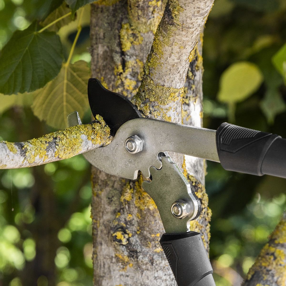 Sealey Telescopic Bypass Lopping Shears with Soft Grip Handle, Geared & Carbon Steel Blade GTSG016