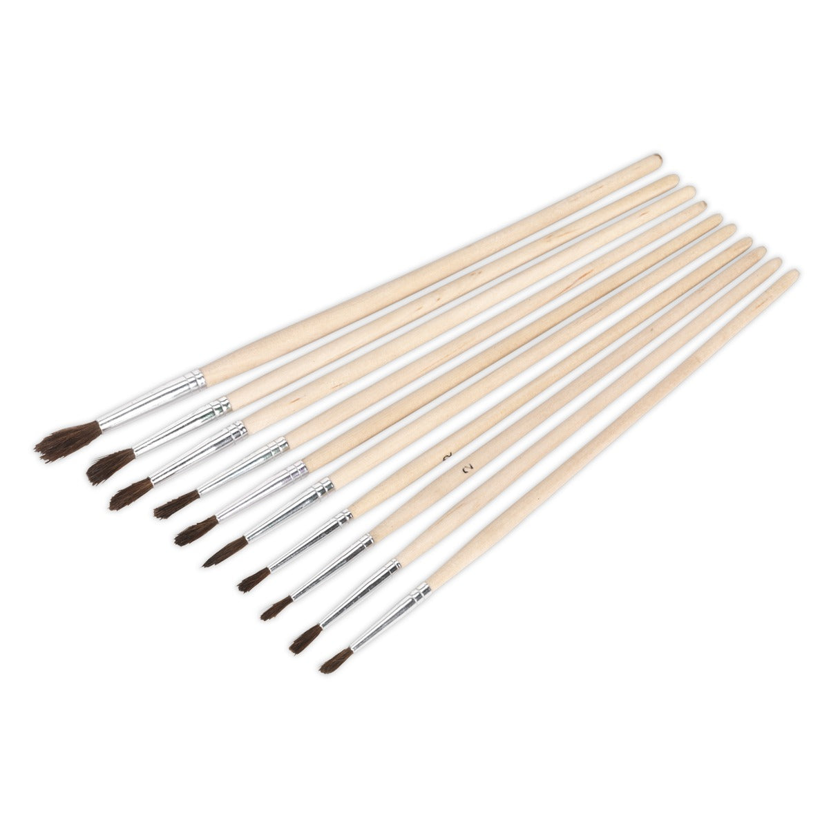 Sealey Touch-Up Paint Brush Assortment with Wooden Handle 10pc PB2