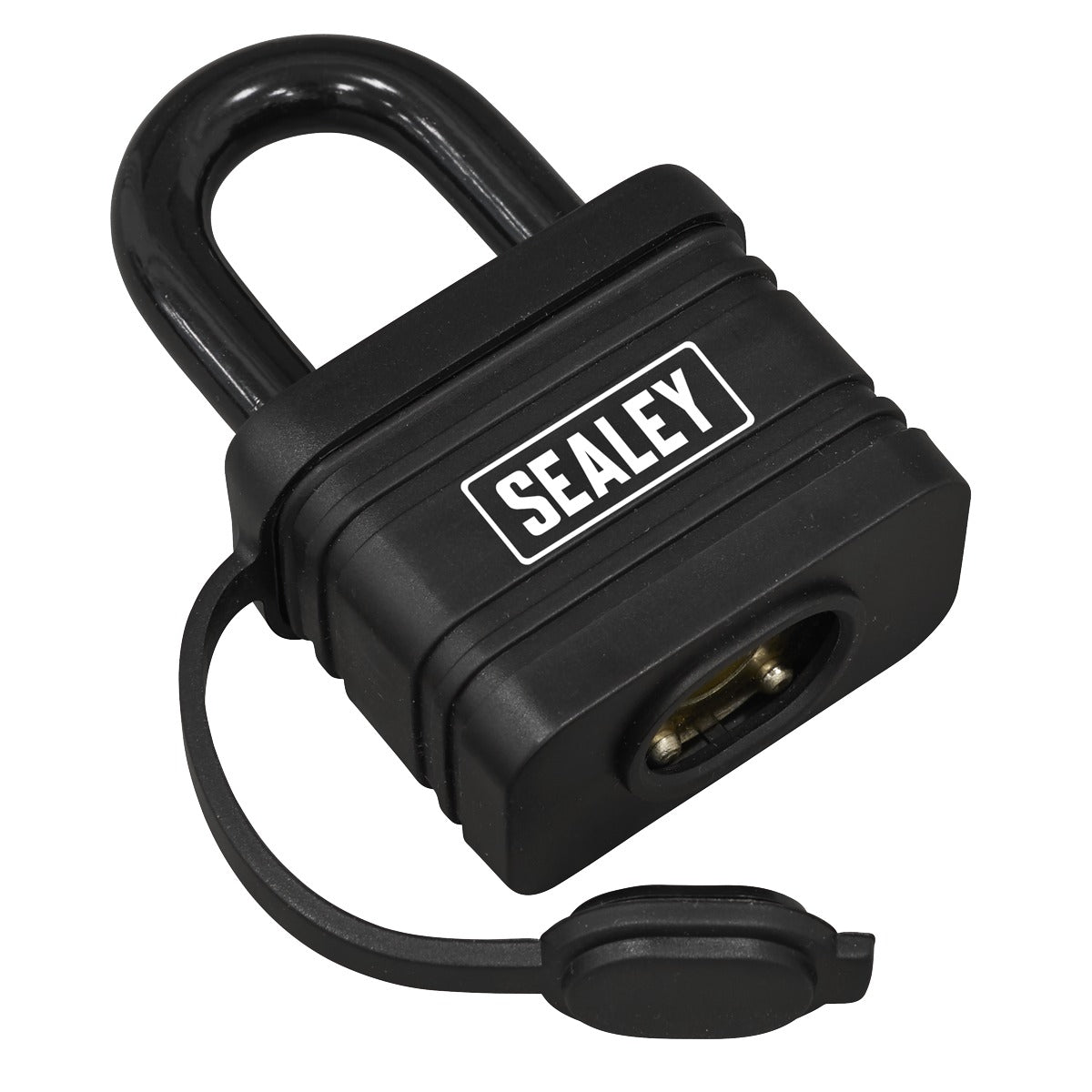 Sealey Steel Body Weatherproof Padlock 54mm PL302W