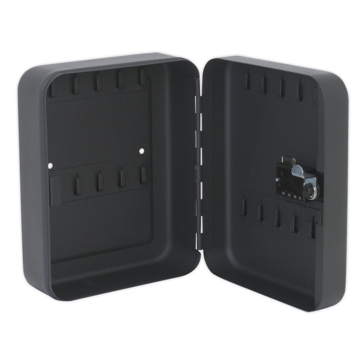 Sealey Key Cabinet with Tumbler Lock 20 Key Capacity SKC820