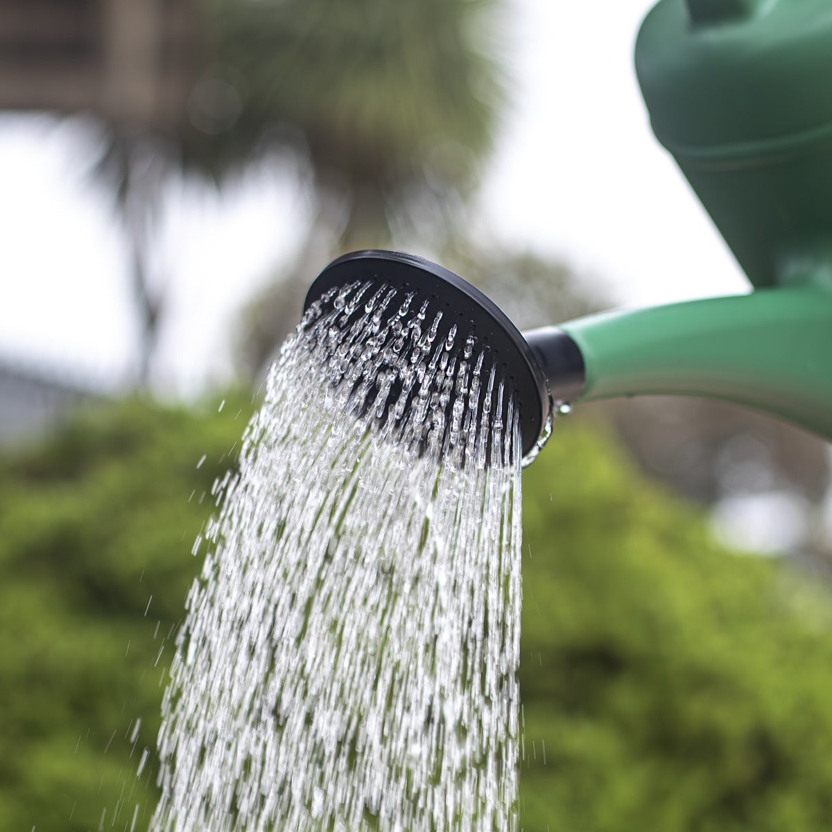 Sealey Plastic Watering Can 10L WCP10