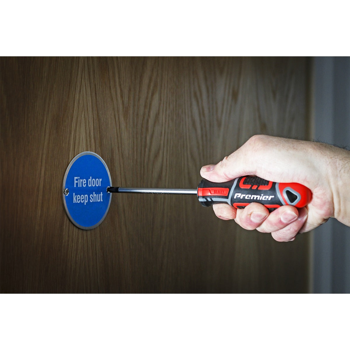Premier GripMAX Phillips Screwdriver #2 x 100mm AK4361