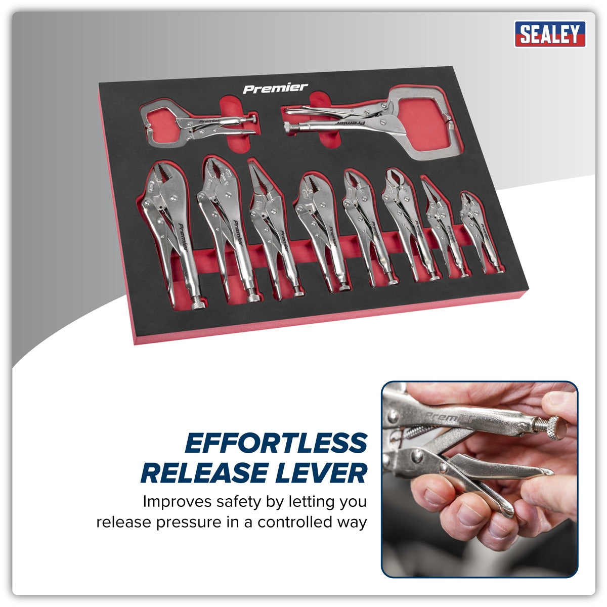 Premier Locking Pliers Set with Foam Tray 10pc AK6802