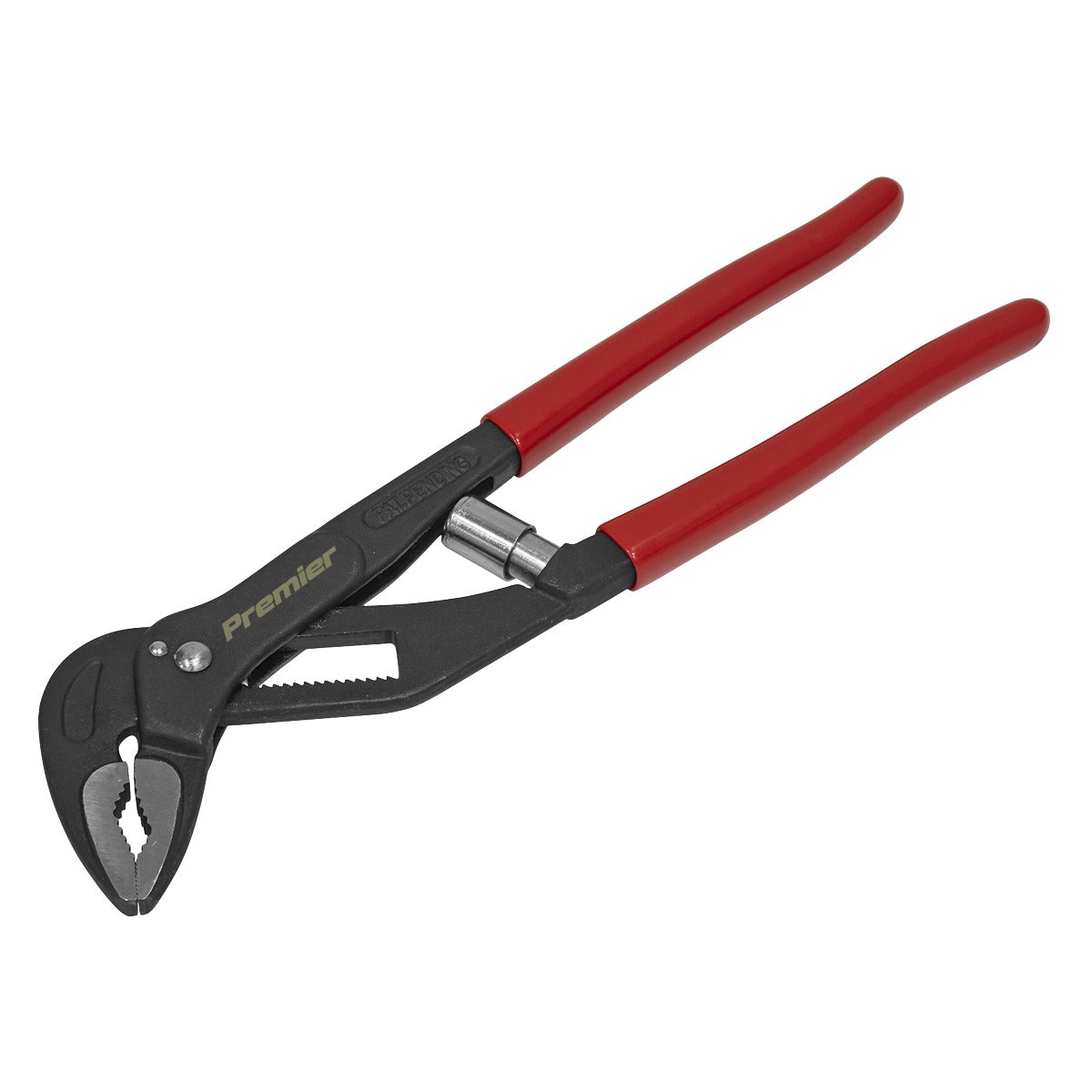 Premier Self-Adjusting Water Pump Pliers 250mm AK8531