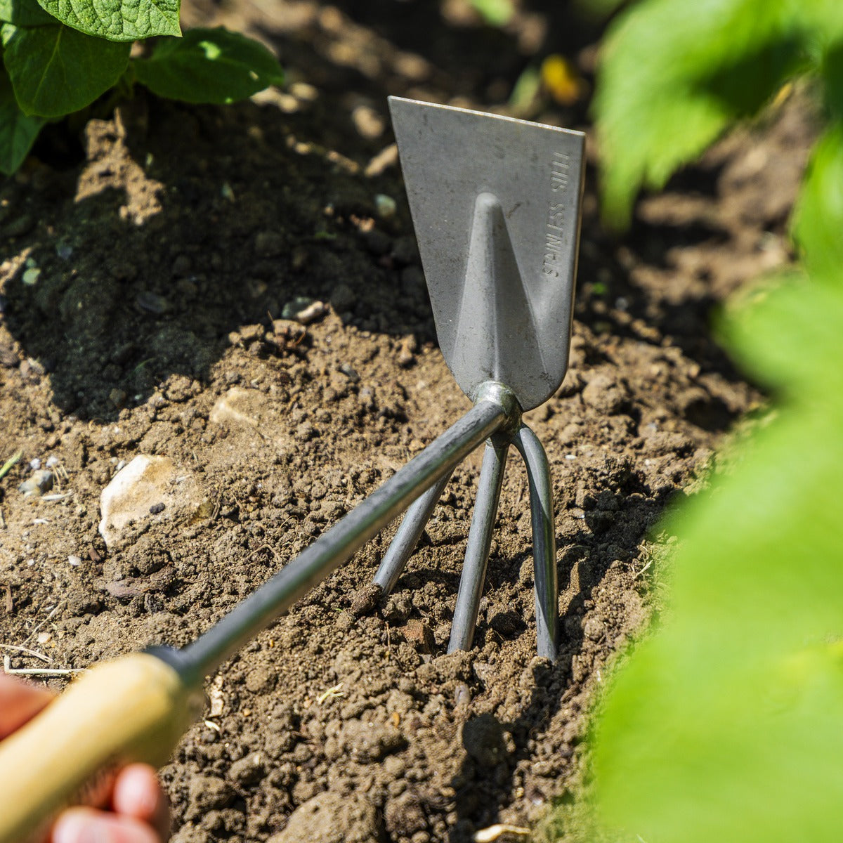 Premier 2-in-1 Hoe and Cultivator with Ash Handle & Stainless Steel Tines/Blade GTWH002