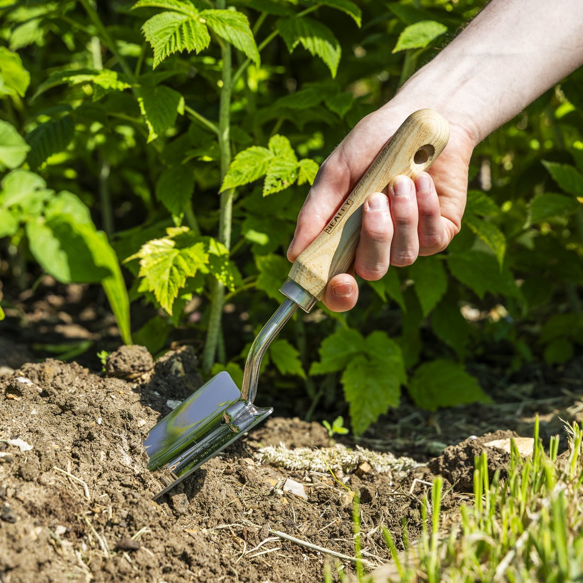 Premier Hand Trowel Hand Trowel with Ash Handle & Stainless Steel Blade GTWH003