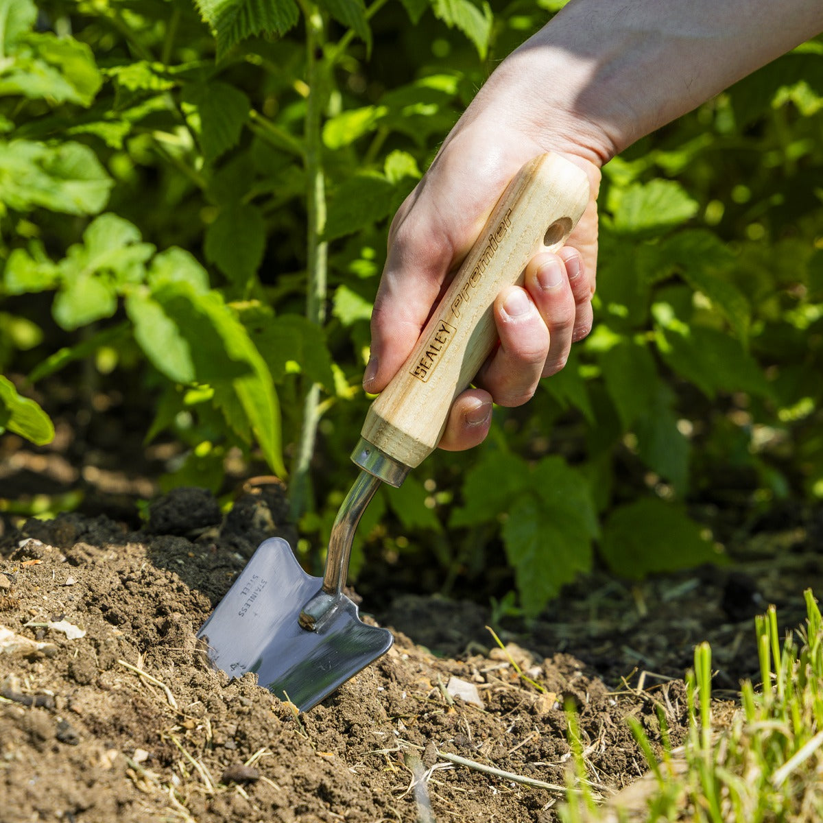 Premier Slim Head Trowel with Ash Handle & Stainless Steel Blade GTWH004