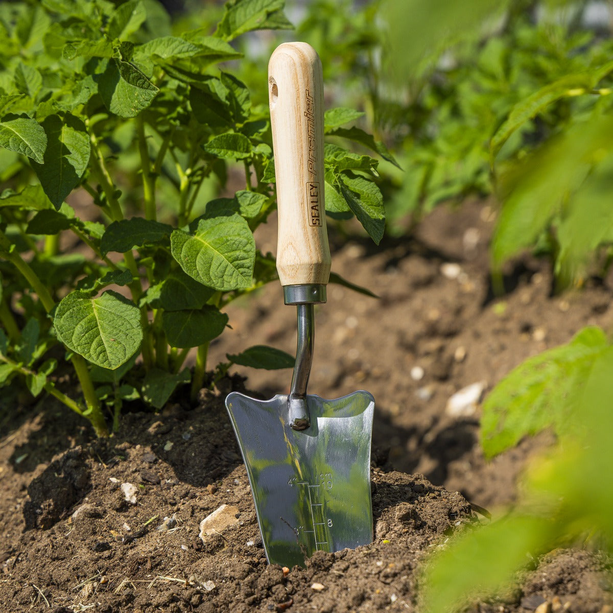 Premier Slim Head Trowel with Ash Handle & Stainless Steel Blade GTWH004